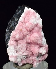 3.2cms RHODOCHROSITE ROSETTE SPHALERITE  Pyrite Peru Pink Crystals R569 picture