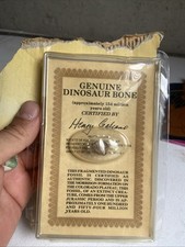 Vintage Genuine Dinosaur Bone Fossil Certified By Henry Galiano 1990’s Jurassic picture