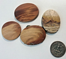 48 grams Natural American Cab Blanks Idaho Bruneau Jasper & Picture Jasper 4 picture