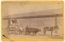 ALABAMA CABINET PHOTO - Black Family & Ox Wagon - SP Tresslar 1880s RARE picture