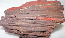 Love the Red  Petrified Wood Northern Arizona 3+ Lb All Natural picture