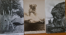 Lot of 11   RPPC   REAL PHOTO     People. Places & Scenes   Vintage Postcards picture