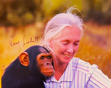JANE GOODALL - SIGNATURE - 8