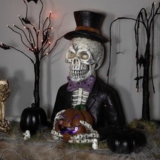 Northlight LED Lighted Skeleton with Jack-O-Lantern Halloween Decoration - 23.5