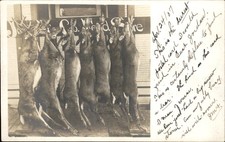 East Jordan Postmark MI Hanging Deer c1900s-10s Real Photo Postcard bhn picture