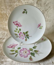 Vintage 50's WINTERLING Fine Bavarian China Pink Wild Rose Dinnerware W Germany picture