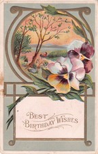 1913 Birthday Postcard of Pretty Pansies by a Scene of Boating on a River picture