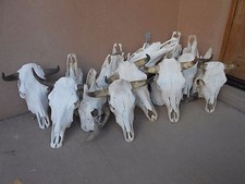 ONLY ONE STEER SKULL 18