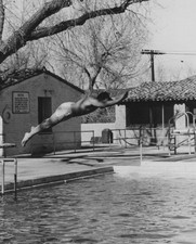 1950s Handsome Man Diving Swimming Pool Midair Athletic Resort Vacation Action picture
