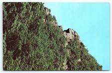 Smuggler's Notch, VT 'Hunter & His Dog' Rock Postcard picture