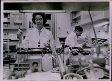 LG871 1971 Original Photo CENTER FOR DISEASE CONTROL Atlanta Science Laboratory picture