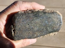 Dinosaur Gem Bone Chunk. Blues And Greens. Great As A Sample Or To Cut Into Cabs picture