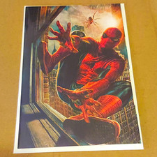 The Amazing Spider-Man #1 Virgin 1:200 Ratio Variant Cover by Lee Bermejo (RARE) picture