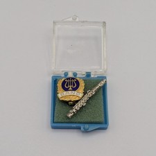 Vintage BAND Music Brooch Pin Miniature Flute Taiwan Case Lyre Musical picture