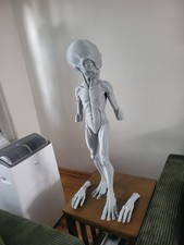 3 foot alien Aka Zeta Or Little Grey Men. also known as observer picture