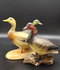 3=Enesco Mallard Duck + Enesco Canvas Back Duck Figurines + an0ther Vintage Duck picture