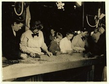 Photo:Seaford Delaware Ross Cannery Pea Sorting Child Labor 1910 picture