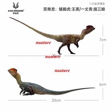 2pcs Haolonggood Dilophosaurus Dinosaur 1/35 Figurine Animal Models Display  picture