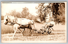 RPPC c1910s Farmer Operating Horse Drawn Mower Sickle Bar Hay Harvest Postcard picture