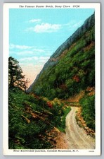 Hunter Notch Stony Clove Catskill Mountains NY Linen Postcard picture