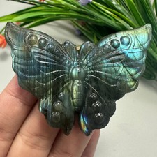 Natural Matt Surface Labradorite Butterfly Skull Quartz Crystal Reiki Healing 1p picture