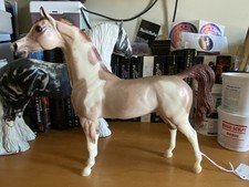 Peter Stone LE Arabian “Diamond” LSQ and NAN Qualified picture