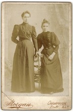 Cabinet Card Circa 1890s Morgan Two Ladies In Dresses Champaign IL picture