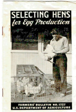 Vintage USDA Bulletin Selecting Hens For Egg Production c.1935 by J P Quinn picture