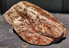 Large Silicified Vivid Rich Red Yellow Jasper Natural Quality Rough Lapidary picture