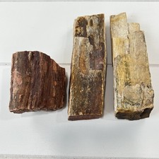 Petrified Wood 3 Piece Lot Fossils picture