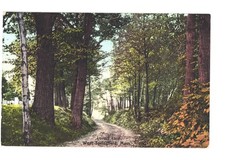 Springfield Mass Lovers Lane Woods Dirt Road Trees Germany Postcard A 7657 Ne... picture