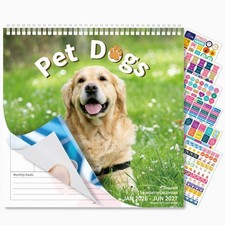 Ospelelf 2026-2027 Wall Calendar 12