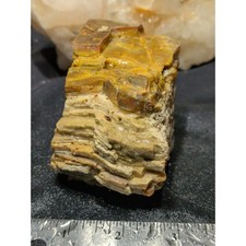 Petrified Wood Opalized Layered Specimen Natural Form (1lb 1oz) picture