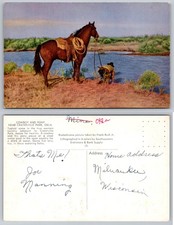 Craterville Park Oklahoma Cowboy Pony Western Scene Postcard picture