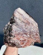 16.2 Pound: Howardite Silicated Volcanic Tuff Breccia with Opal-Filled Fractures picture