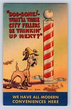 VINATGE DOG GONE WHAT'LL THESE CITY FELLERS BE THINKIN' UP NEXT?  POSTCARD GU picture