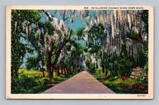 Vintage Linen Postcard An Alluring Highway Scene Down South 1939 picture