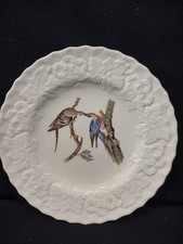 Vintage Alfred Meakin Audubon Passenger Pigeon Extinct Cottagecore Plate [5869] picture