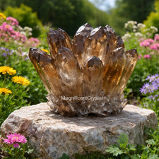 Large Rare Smoky Quartz Cluster Healing Crystal Geode Energy Stone Home Decor picture