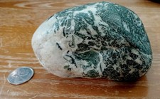 Vancouver Island Rare Dallasite Hand Polished Specimen BC Semiprecious Gemstone picture