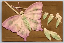 Vintage Postcard Moth Butterfly Heavy Embossing Divided Back Unposted ~10058 picture