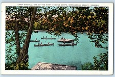 c1920 Shenandoah Valley Virginia Postcard Camp Overall Many Famous Camps picture