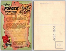 The Fierce Panther Story Postcard picture
