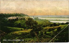 Dugg Hill Louisiana MO 1909 Postcard Mississippi River View B. Huntington picture