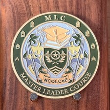 NCOLCoE MLC Master Leader Course Coin Of Excellence Challenge Coin  W#20 picture