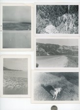 (20) Vintage photo lot / STRANGE THINGS - Faded Vague Mysterious Objects Scenes picture
