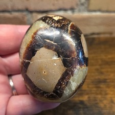 Septarian Palm Stone, Dragon Stone, 194g, L#Sep3 picture