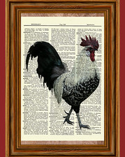 Rooster Dictionary Art Print Book Page Picture Poster Vintage Kitchen Wall Decor picture