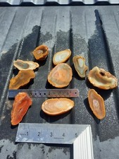 Sumatran/Indonesian Island Agate 2 Lb. Half Nodule Rough Lot  picture