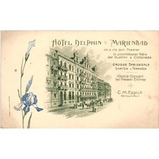 Antique Hotel Delphin Marienbad Postcard Czech Republic Iris Flower Litho Unpost picture